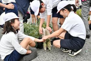 楽しそうに笑いながら作る児童たち