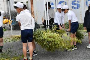 産卵床を運ぶ児童