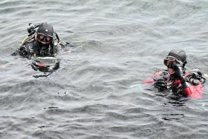 ダイバーの人たち