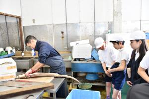 長いハモを興味深く見る児童たち