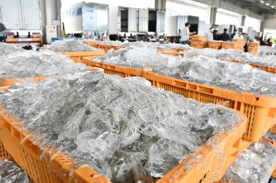 積み上げられたしらす