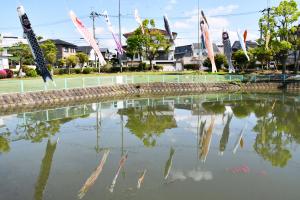 池の上に飾られた鯉のぼり