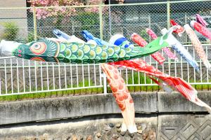 風に吹かれている鯉のぼり