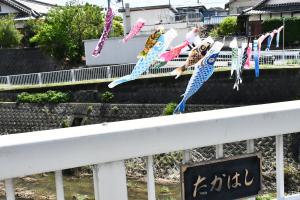 風に吹かれている鯉のぼり