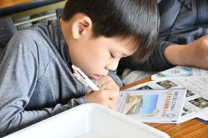 生きもの観察ノートを書く男の子