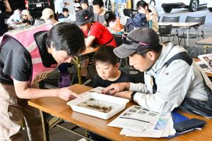 生きものの名前を調べる様子