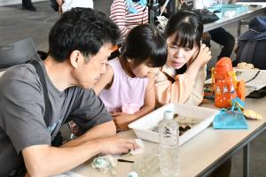 生きものの名前を調べる様子