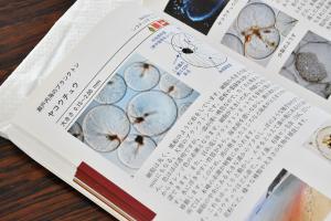 図鑑のヤコウチュウのページ
