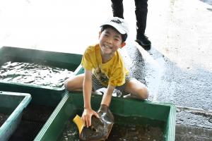 エイを触る男の子
