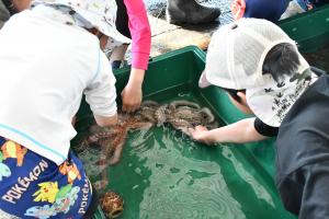 タコを触る子どもたち
