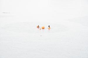 ブイの周りで浮上する救助隊