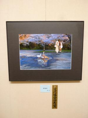 第77回 市展（書部門）（日本画部門）の受賞作品が決定いたしました