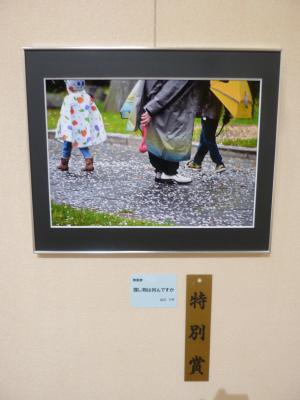 第77回 市展（書部門）（日本画部門）の受賞作品が決定いたしました