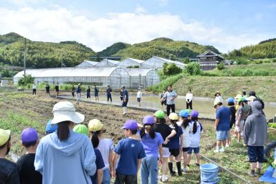 田植え1