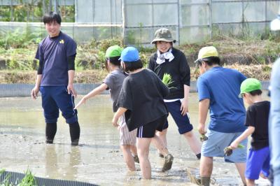 田植え2