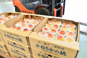 箱詰め後の桃