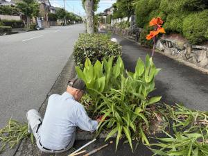 男性が清掃活動をしている様子