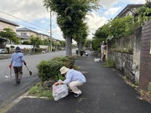 女性が草を引いている様子
