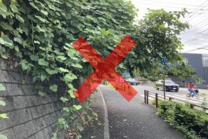 住宅から道路にはみだした木に赤いバツ印が付いた写真