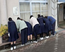 山滝1
