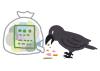 生ごみ