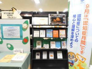 展示の様子