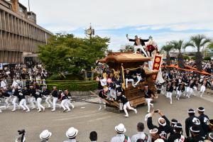 こなから坂を上がり、やりまわしをきめる南上町のだんじり