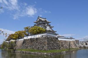 岸和田城