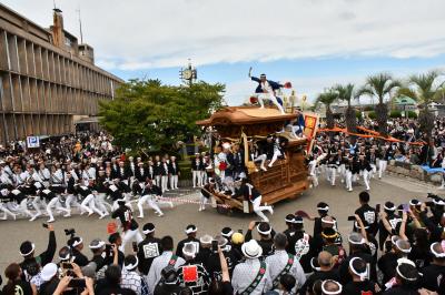 宮本