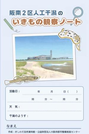 阪南2区人工干潟のいきもの観察ノート