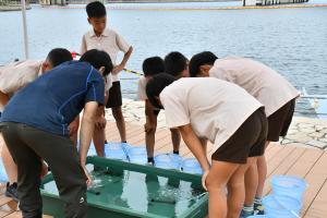 稚魚に興味津々な生徒たち