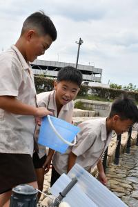 稚魚放流