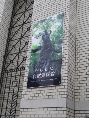 ぶな看板
