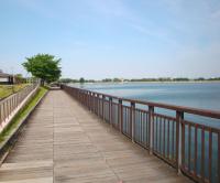 久米田池遊歩道