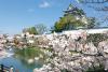 岸和田城の水辺