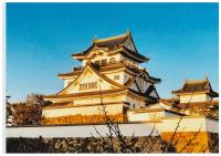 元旦の朝日に照らされる城