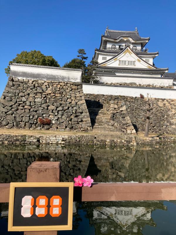 198日前の写真