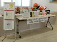 男女共同参画週間　図書　冊子　チラシ