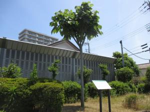 令和4年6月撮影