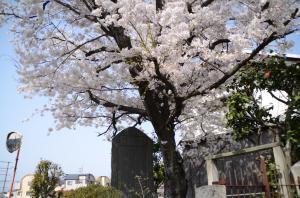 玉ねぎの碑
