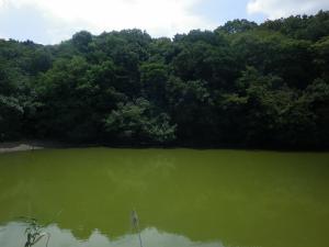 夏の摩湯山古墳