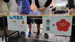 ムラミスのポップ