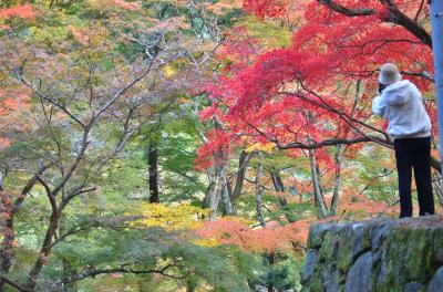 紅葉と撮影者