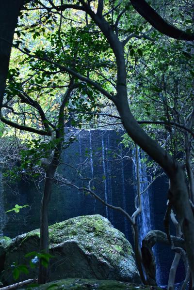 滝の写真3