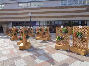 ハンギングバスケットが展示されています