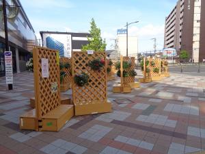 ハンギングバスケットが展示されています
