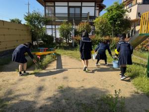 公園の清掃