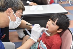 子どもの歯並びをチェックする歯科医師