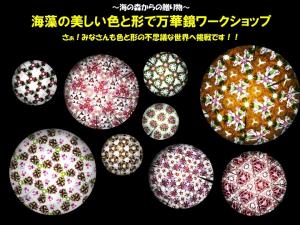 海藻万華鏡