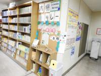 展示の様子